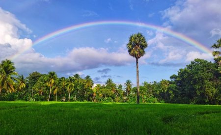 A double rainbow over the sky