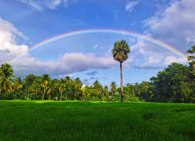 A double rainbow over the sky