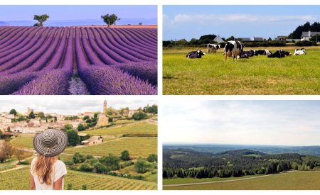 vacances à la ferme en France