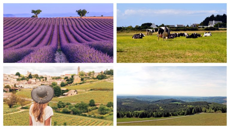 vacances à la ferme en France