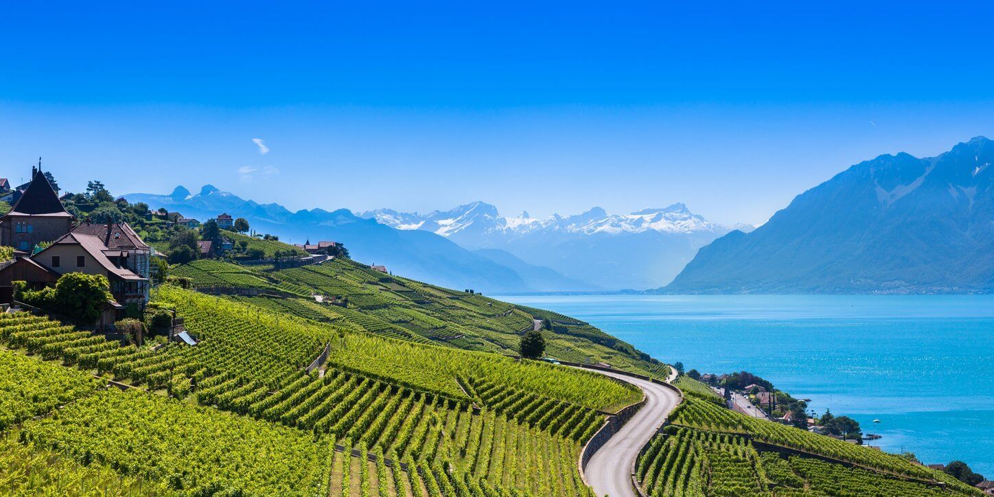 Vignobles en région de Lavaux