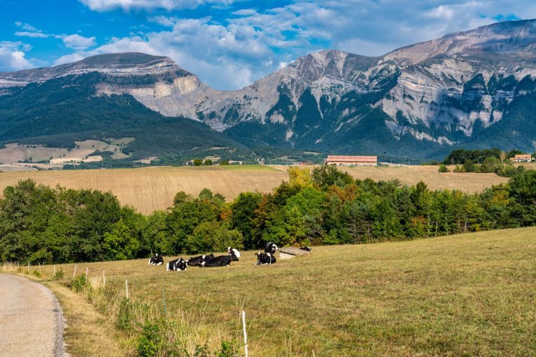 rh ne alpes parc naturel regional du vercors 887