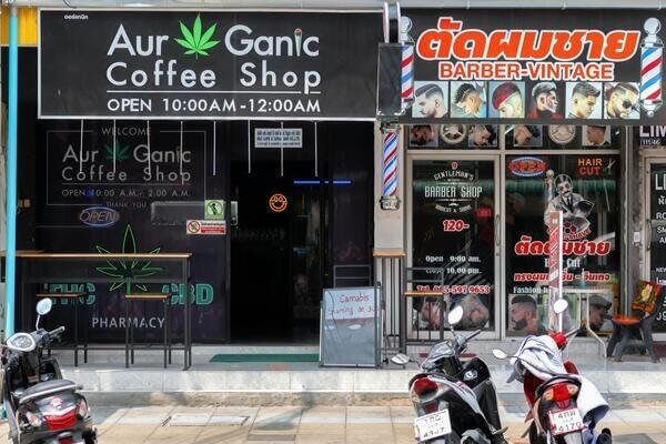 Cannabis en Thaïlande : est-ce toujours légal en 2025 ? 2 Cannabis en Thaïlande : est-ce toujours légal ?