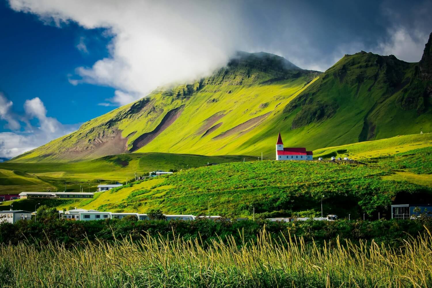 L'Islande : un paradis sans moustiques 1 green field near mountain during daytime
