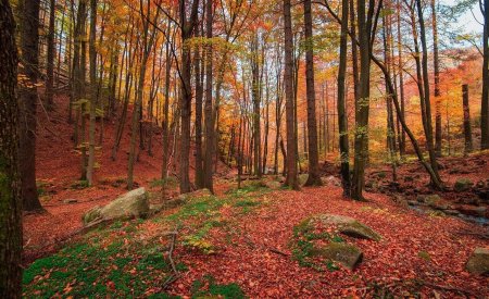 parcs nationaux à visiter en automne