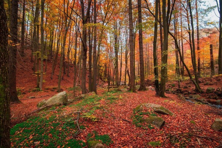 parcs nationaux à visiter en automne