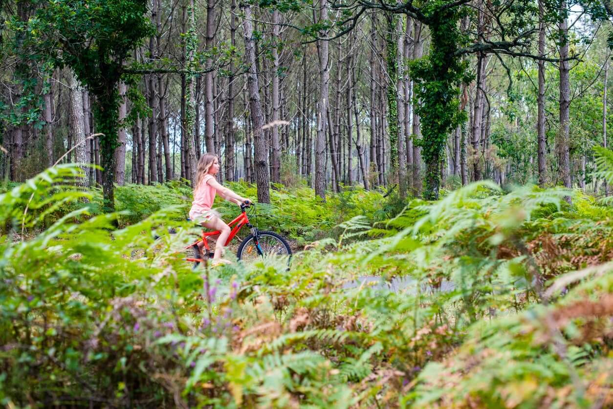 landes circuit de navarrosse au depart de biscarrosse 872