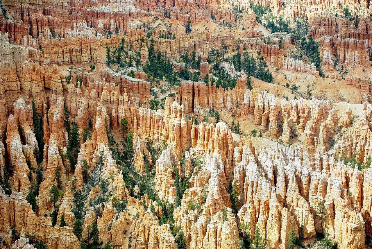 réserver les campings dans les parcs nationaux américains